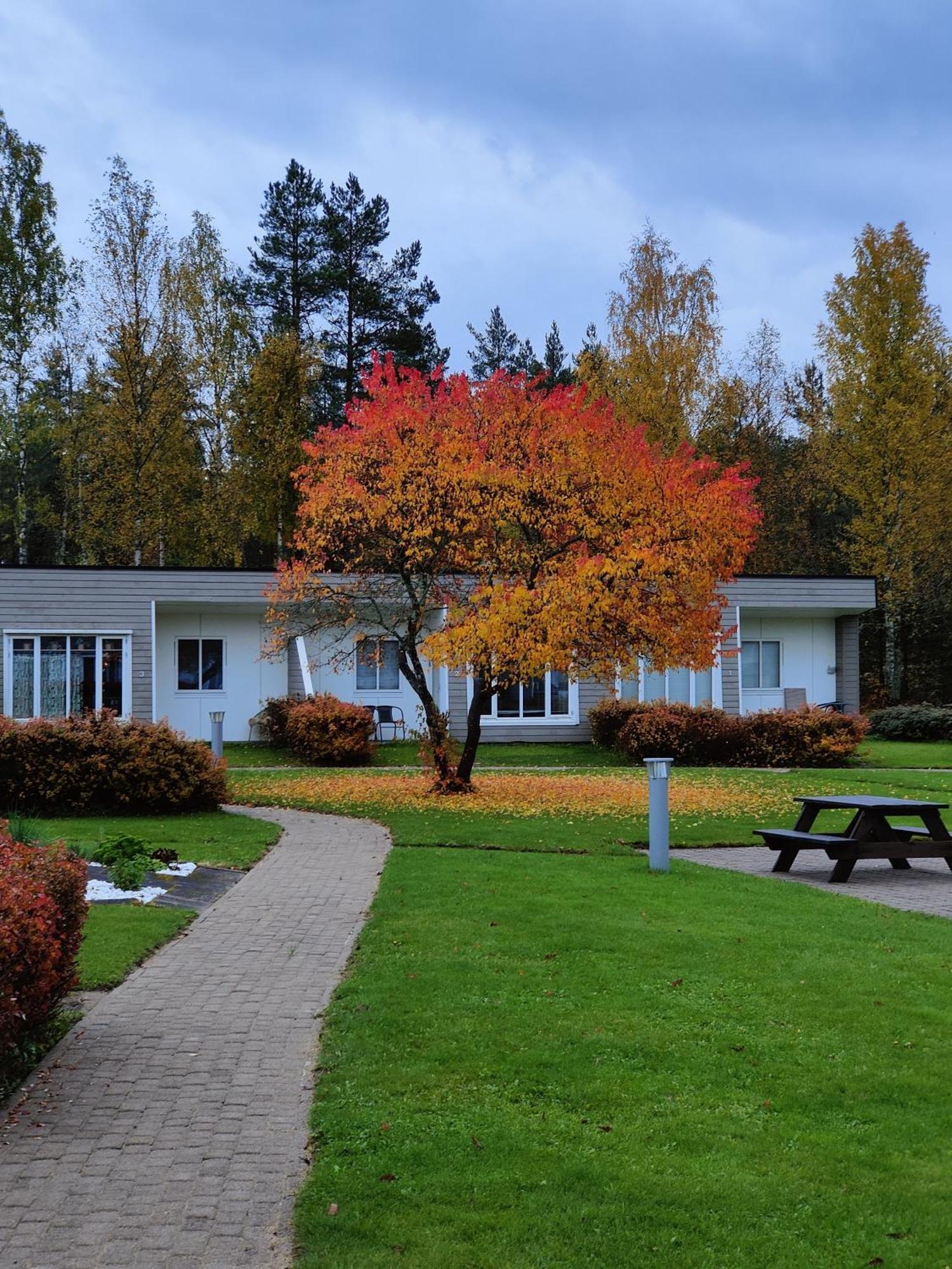 Evje Park Apartment Exterior photo
